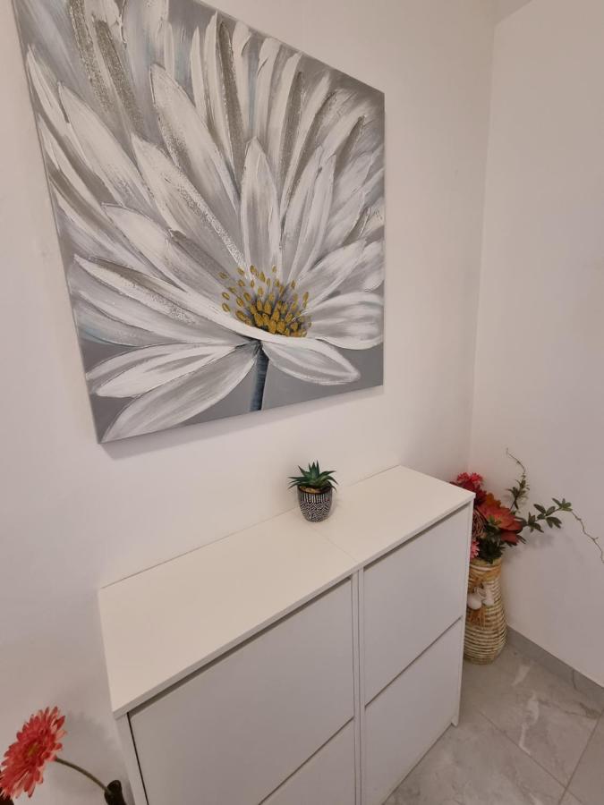 ביוגראד נה מורו Apartments Lili מראה חיצוני תמונה